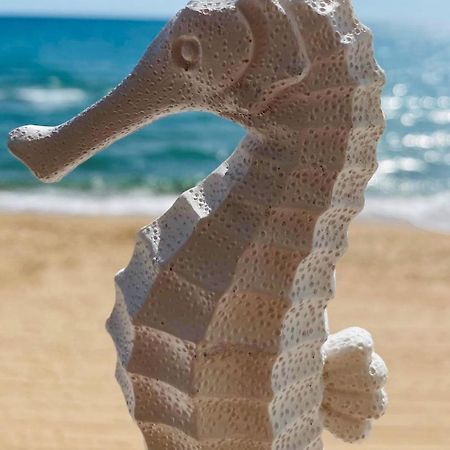 Caballito De Mar Tavernes de Valldigna Zewnętrze zdjęcie